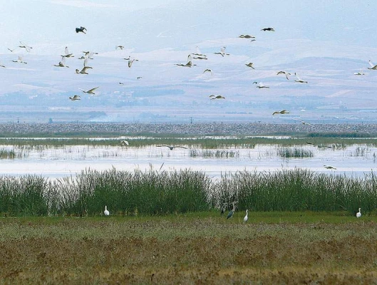 Με FAST TRACK διαδικασίες το Πολυνομοσχέδιο της Κυβέρνησης για το εκσυγχρονισμό της περιβαλλοντικής  νομοθεσίας