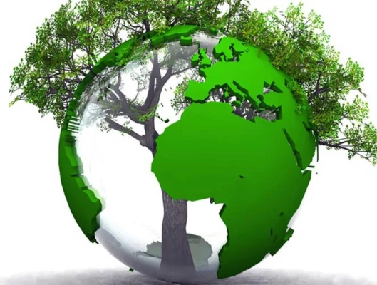 Παγκόσμια Ημέρα Περιβάλλοντος 5 Ιουνίου
