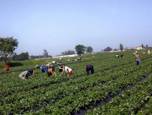 ΑΜΕΣΑ ΚΑΙ ΟΥΣΙΑΣΤΙΚΑ ΜΕΤΡΑ ΕΔΩ ΚΑΙ ΤΩΡΑ ΩΣΤΕ ΝΑ ΜΗ ΘΡΗΝΗΣΟΥΜΕ ΑΛΛΟΥΣ ΕΡΓΑΤΕΣ ΓΗΣ