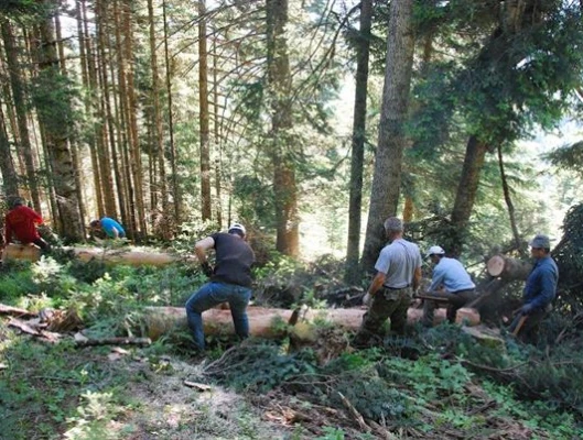 Η ΓΣΕΕ ΣΤΟ ΠΛΕΥΡΟ ΤΩΝ ΔΑΣΕΡΓΑΤΩΝ  ΤΟΥ ΚΟΙΝΩΦΕΛΟΥΣ ΠΡΟΓΡΑΜΜΑΤΟΣ ΤΟΥ ΟΑΕΔ