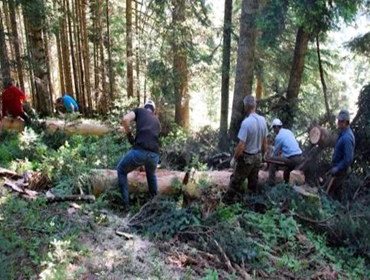 Απαραίτητη η ένταξη και των δασεργατών – υλοτόμων στα  μέτρα στήριξης