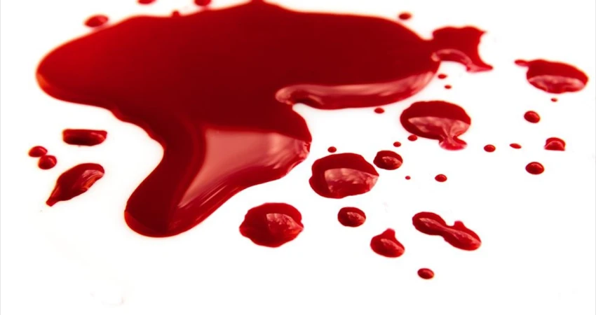 Ακόμη ένα εργατικό δυστύχημα σημειώθηκε σε καρνάγιο στον Αλμυρό Βόλου