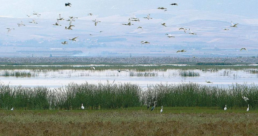 Με FAST TRACK διαδικασίες το Πολυνομοσχέδιο της Κυβέρνησης για το εκσυγχρονισμό της περιβαλλοντικής  νομοθεσίας