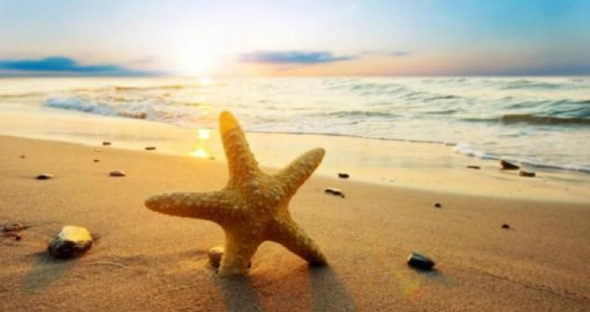 ΓΣΕΕ-ΠΡΟΓΡΑΜΜΑ ΠΟΙΟΤΙΚΩΝ ΠΑΡΑΘΕΡΙΣΤΙΚΩΝ ΔΙΑΚΟΠΩΝ