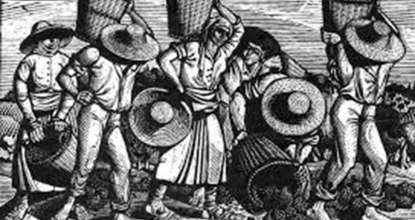 Στήριξη στα δίκαια αιτήματα των αγροτών.  Ανάγκη ουσιαστικού διαλόγου για μια υγιή αγροτική πολιτική